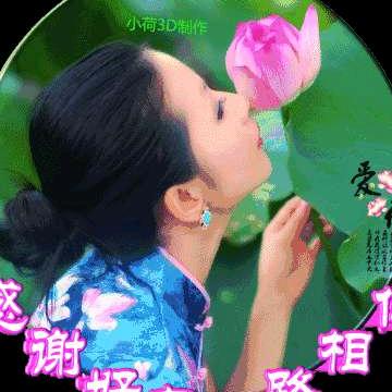 兰花草。