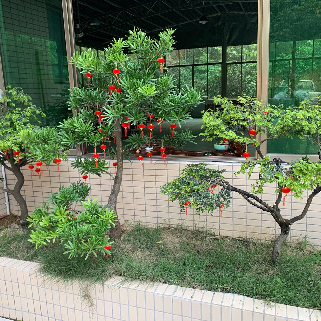 用户6700561687961高清