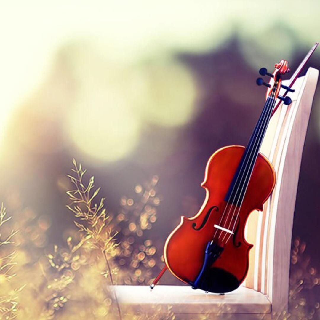 💞ꦽ小陈꯭不້沉⸝ꦿꦼ࿆⁵₂ᐤ