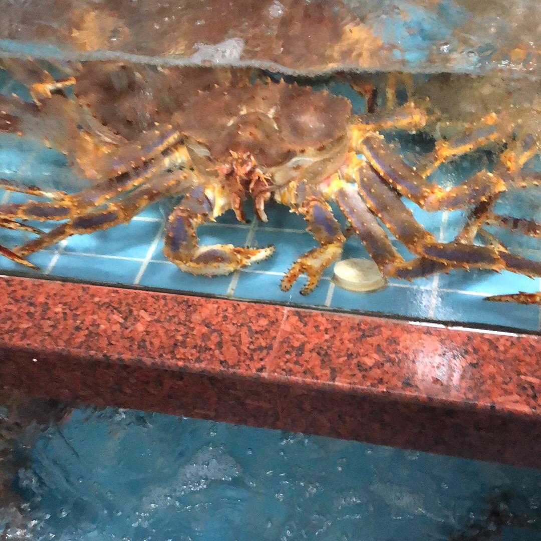 🌈大鑫海鲜