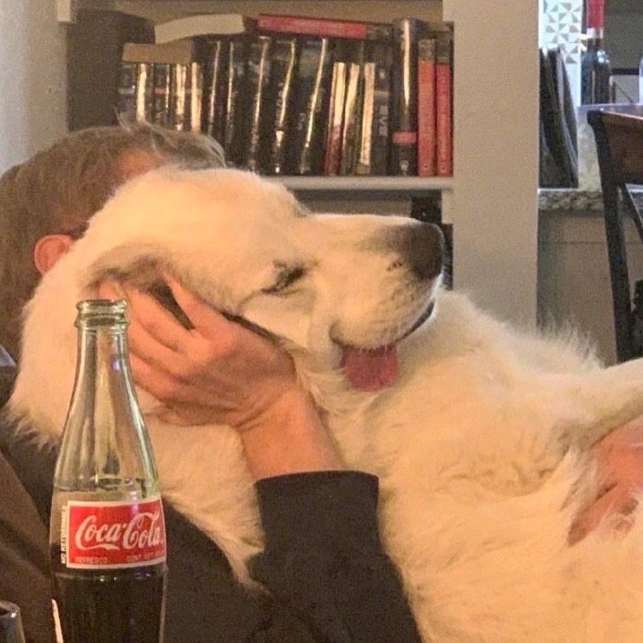 用户3628293739🌈