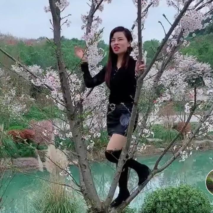 带刺的玫瑰