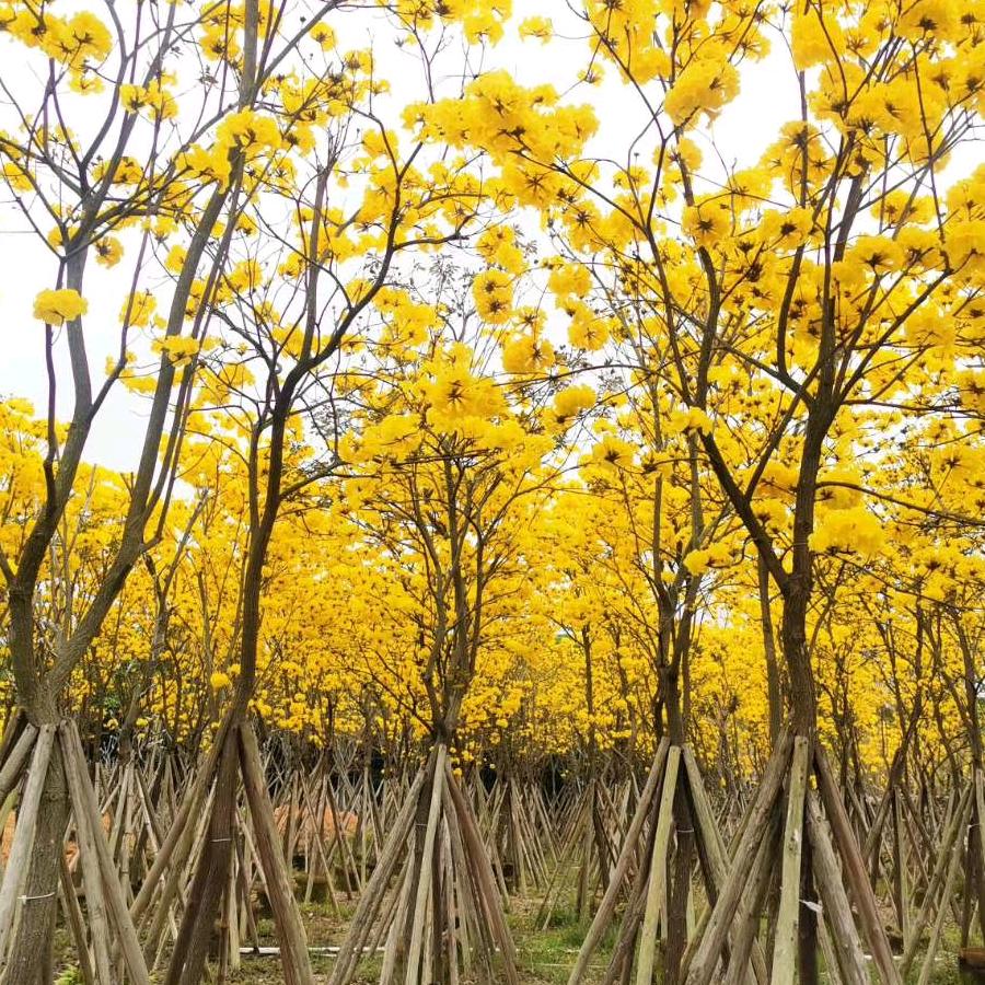 去吧，点上小爱心