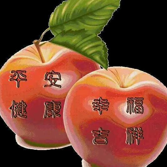 我家小宝贝