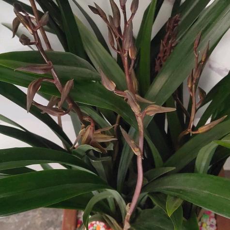 未来盛饰石材，幕墙57909408