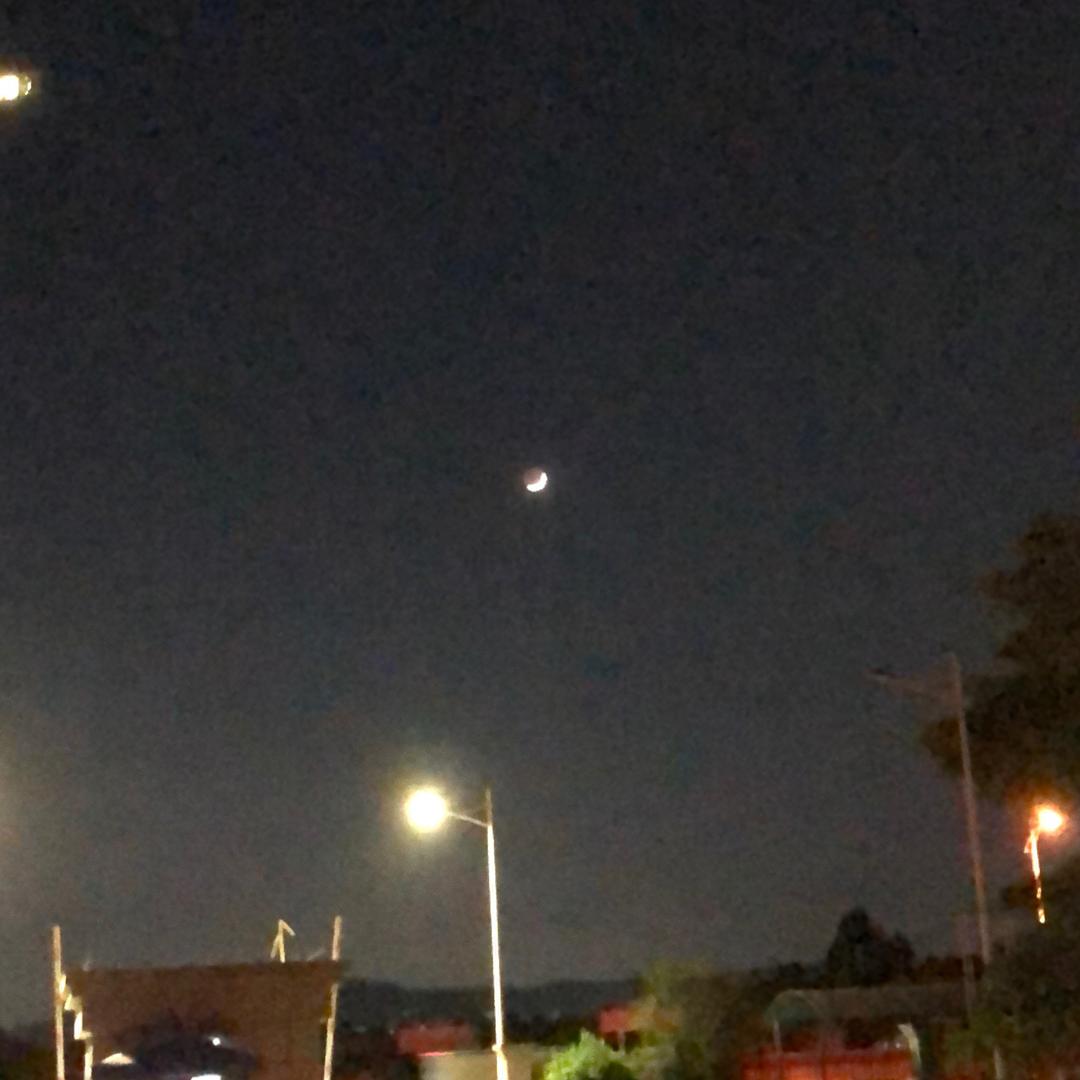 元气小淇淇