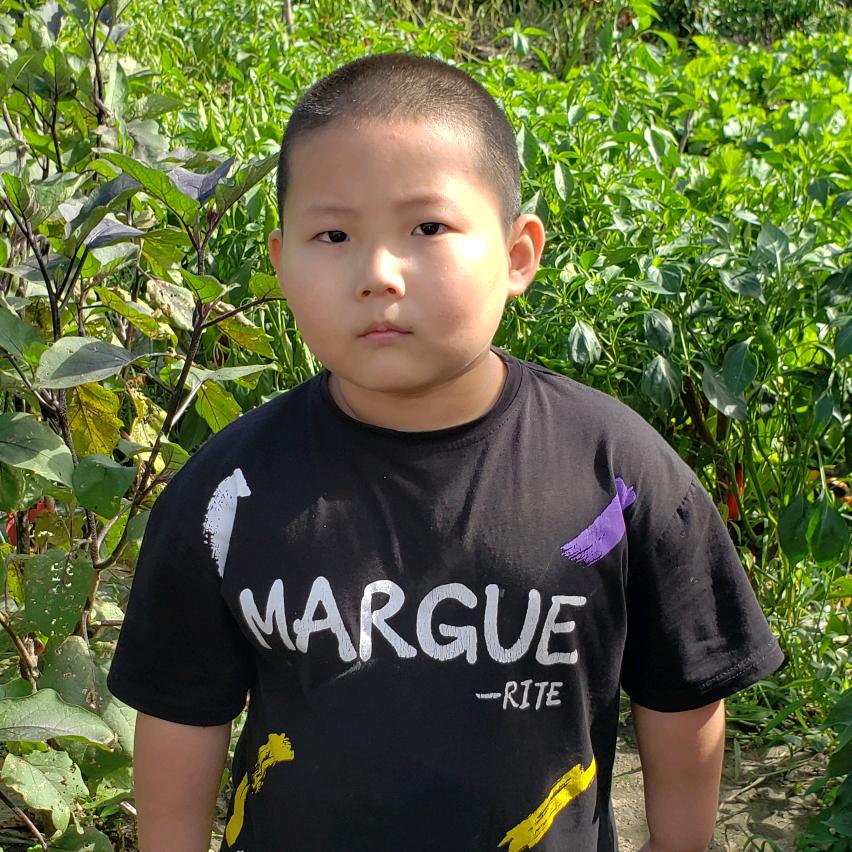 小胖记录农村生活