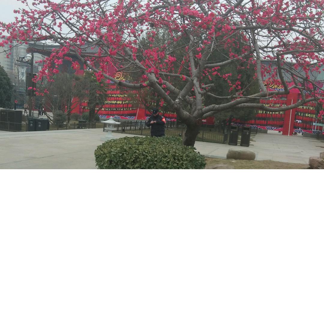 一生平安