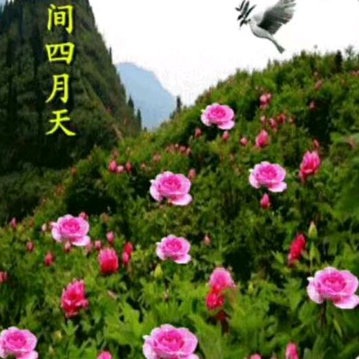 熊开金