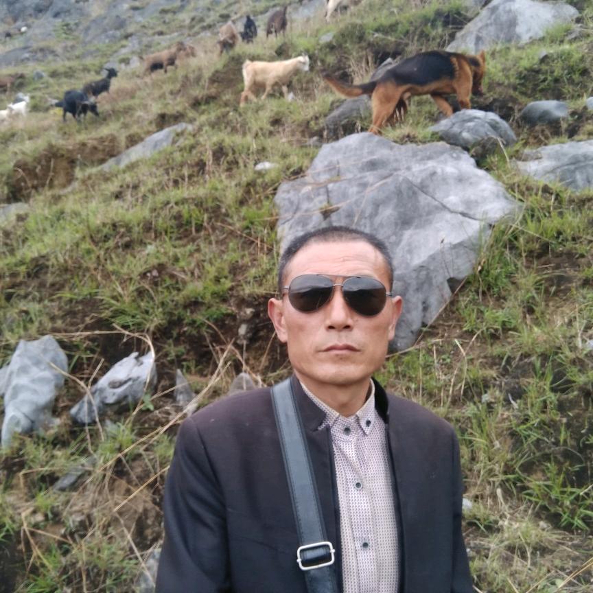 用户云岭高峰牛养殖及生态云山黑山羊养殖