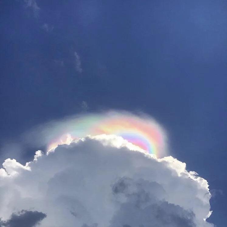 杨杨@