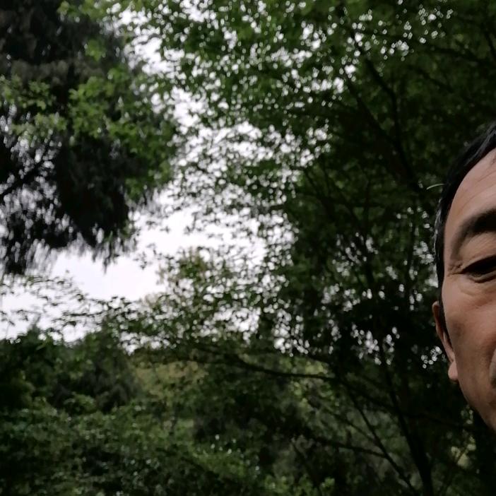 用户2385038773018广元