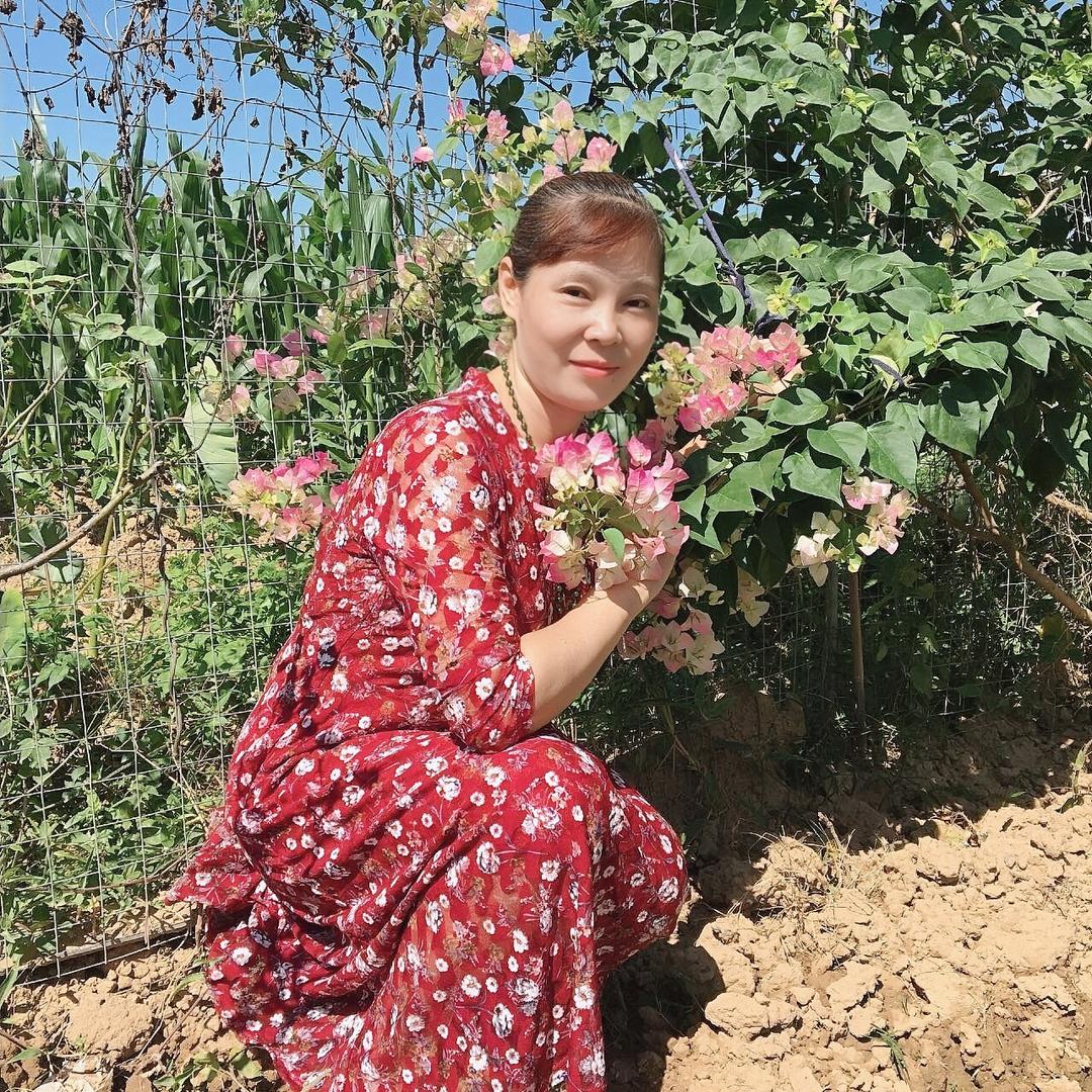 陈莲君