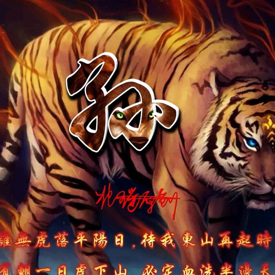 公孙宇