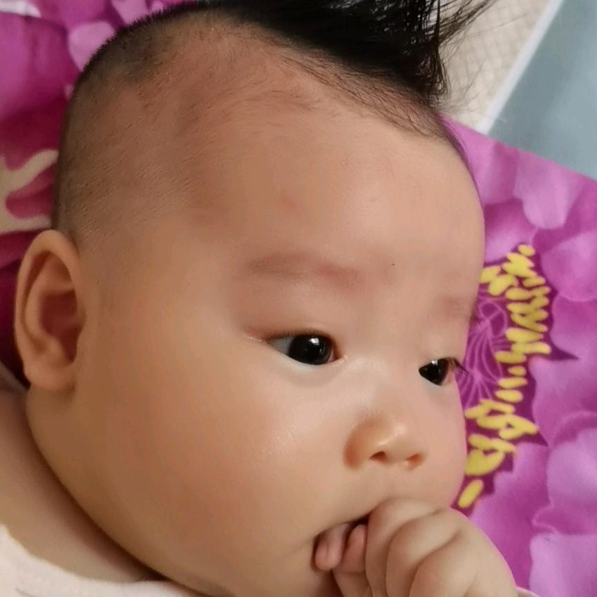 耿*林     8424西瓜种植