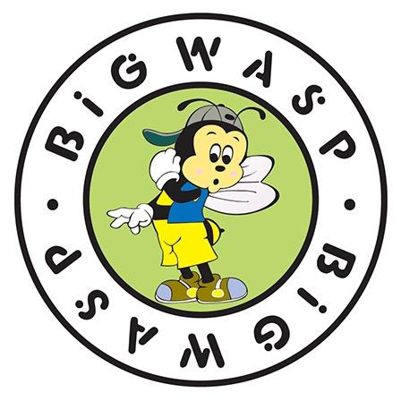 BIG WASP大黄蜂启翔电子专卖店
