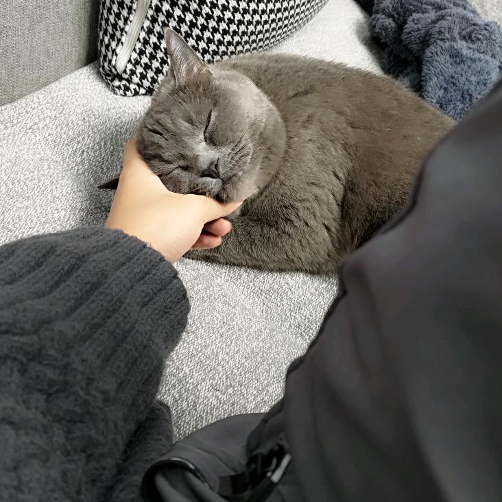 张啊