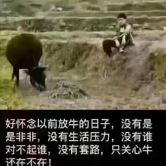 九零前的。王哥
