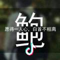 梓七
