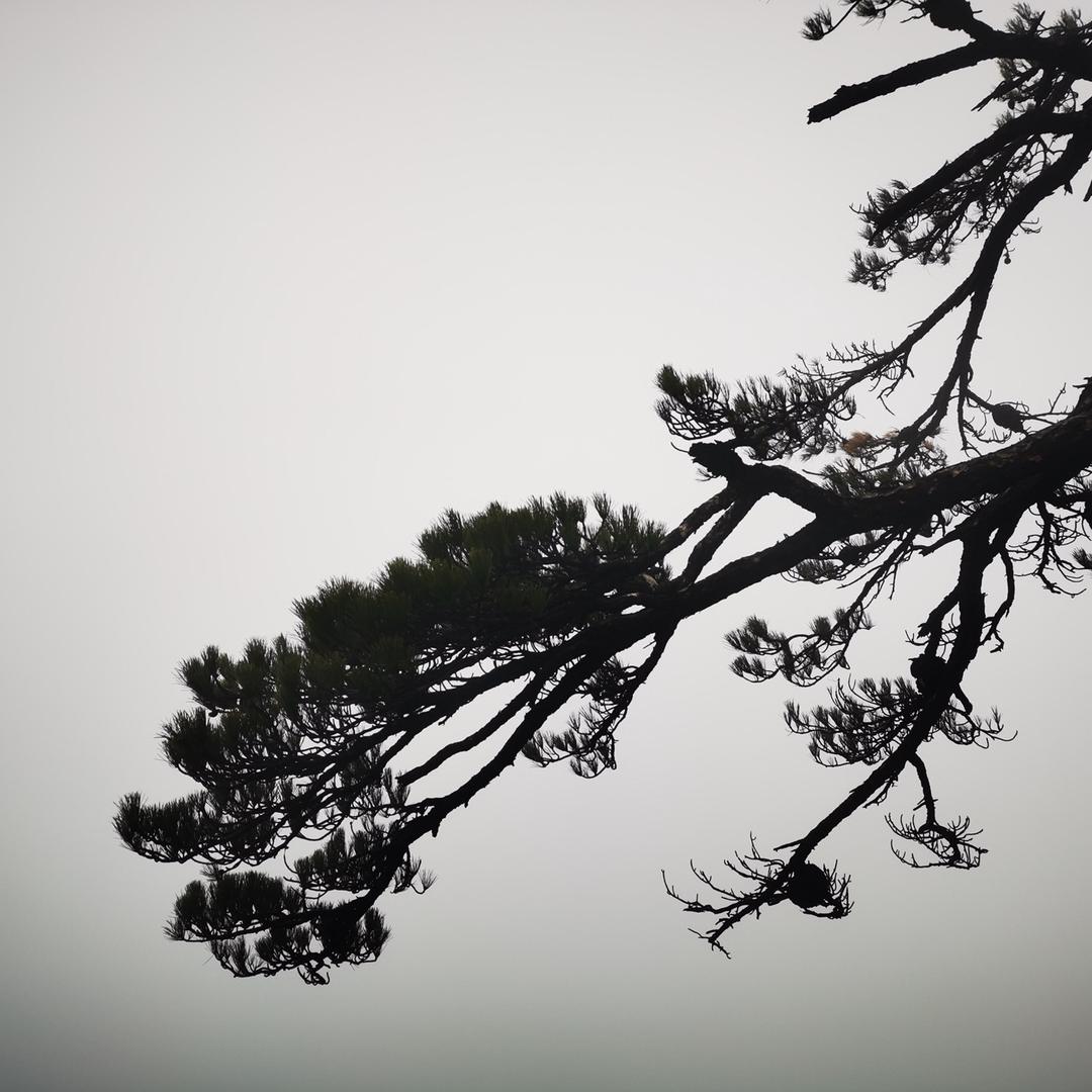 一马平川