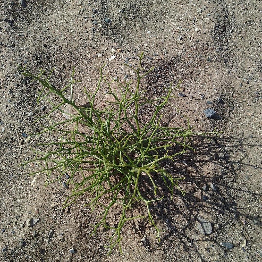 ༺❀ൢ那…年夏天❀ൢ༻