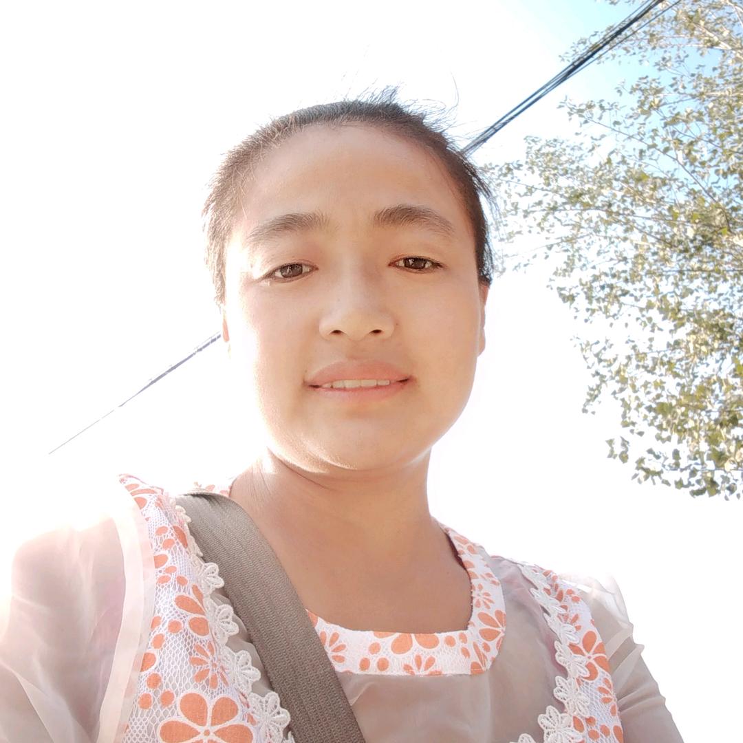 旭日阳光临邑县临盘镇后杨果农小马
