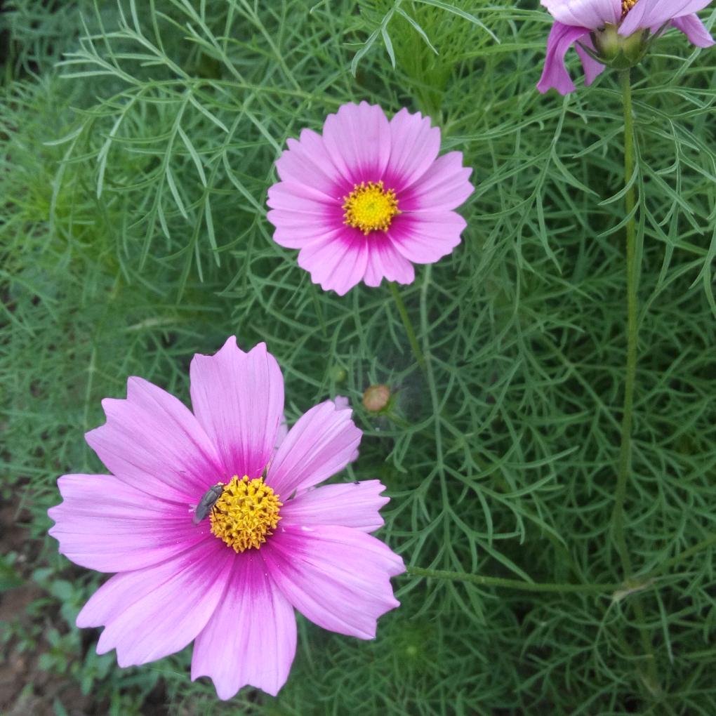 珍爱自我，少虚荣多实在...