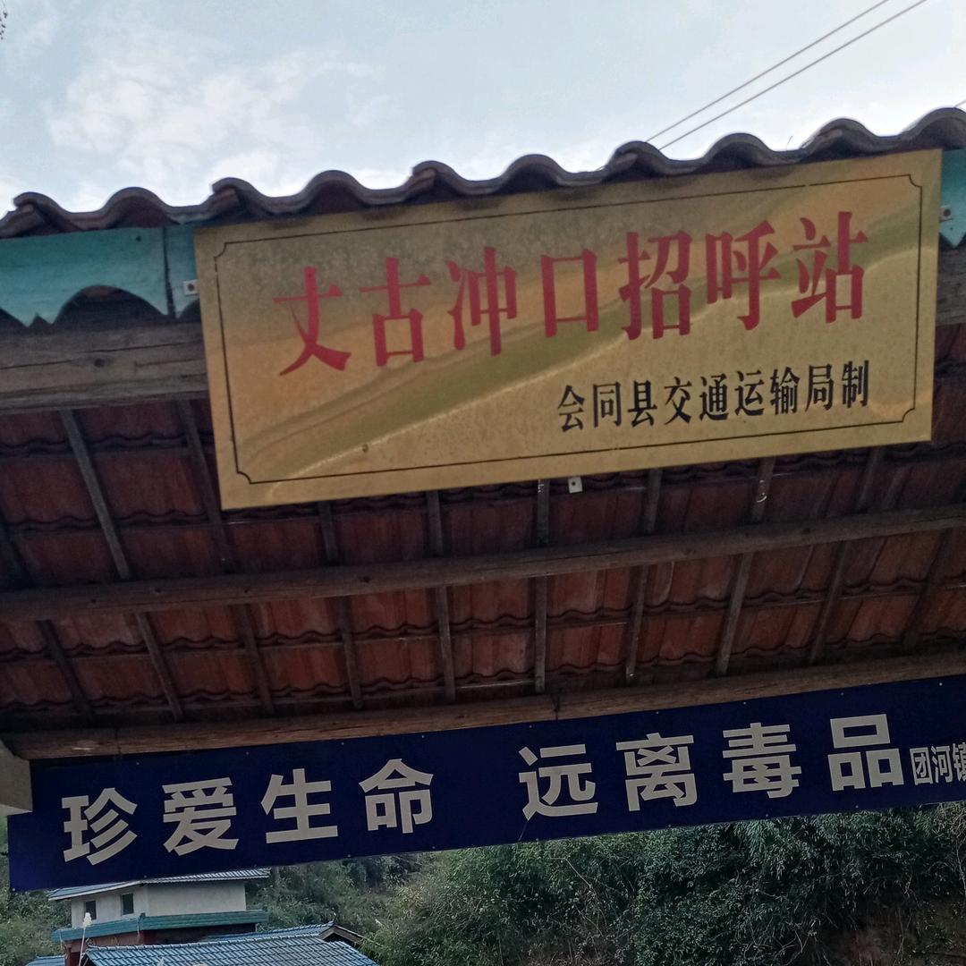 萍萍