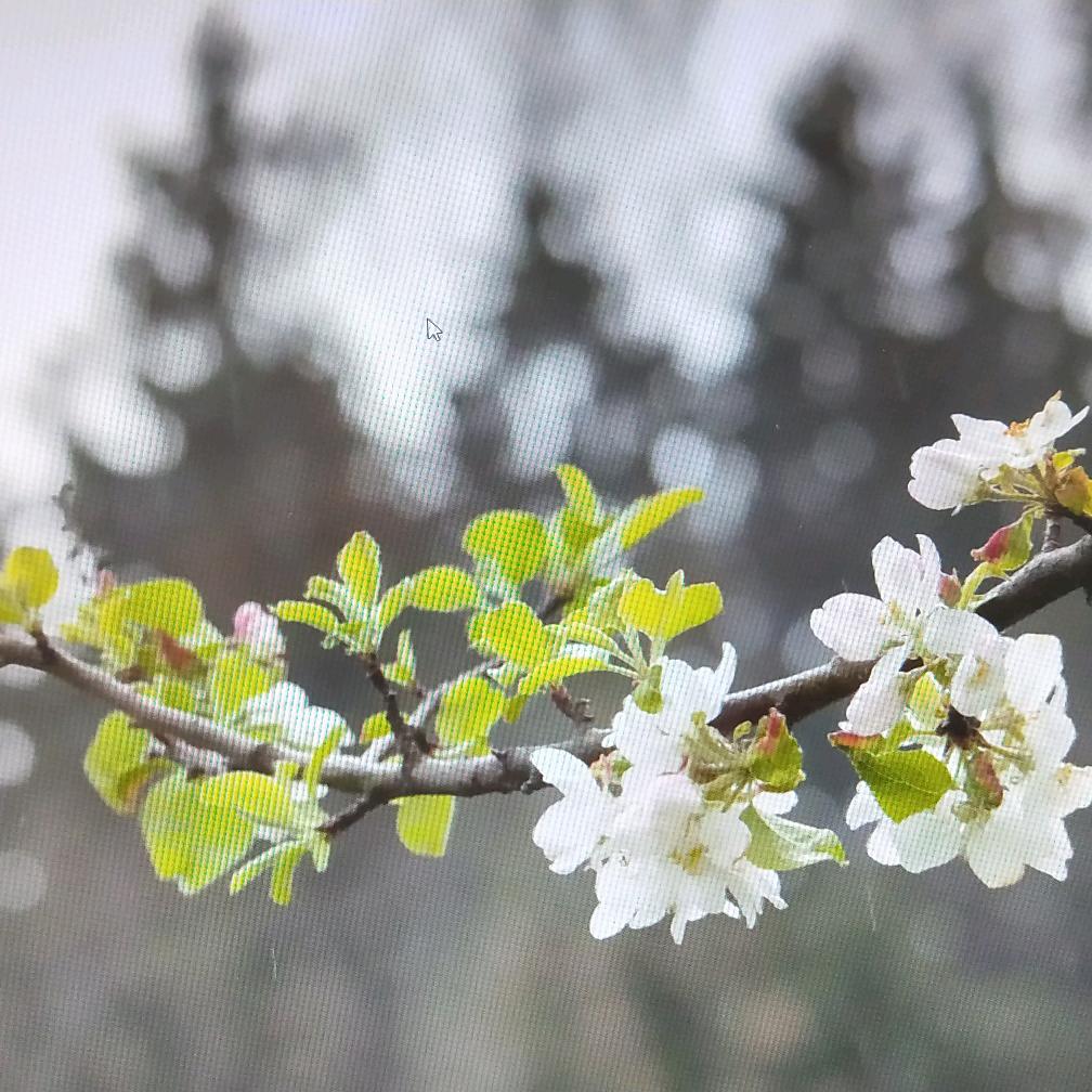 爱是戒不掉的毒