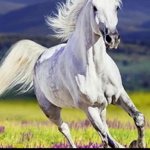 走在阳光的路上