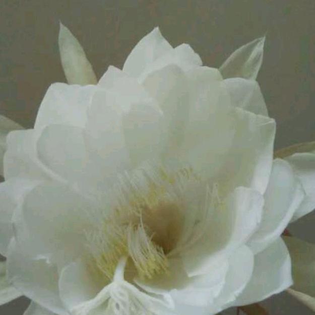 渐行渐近