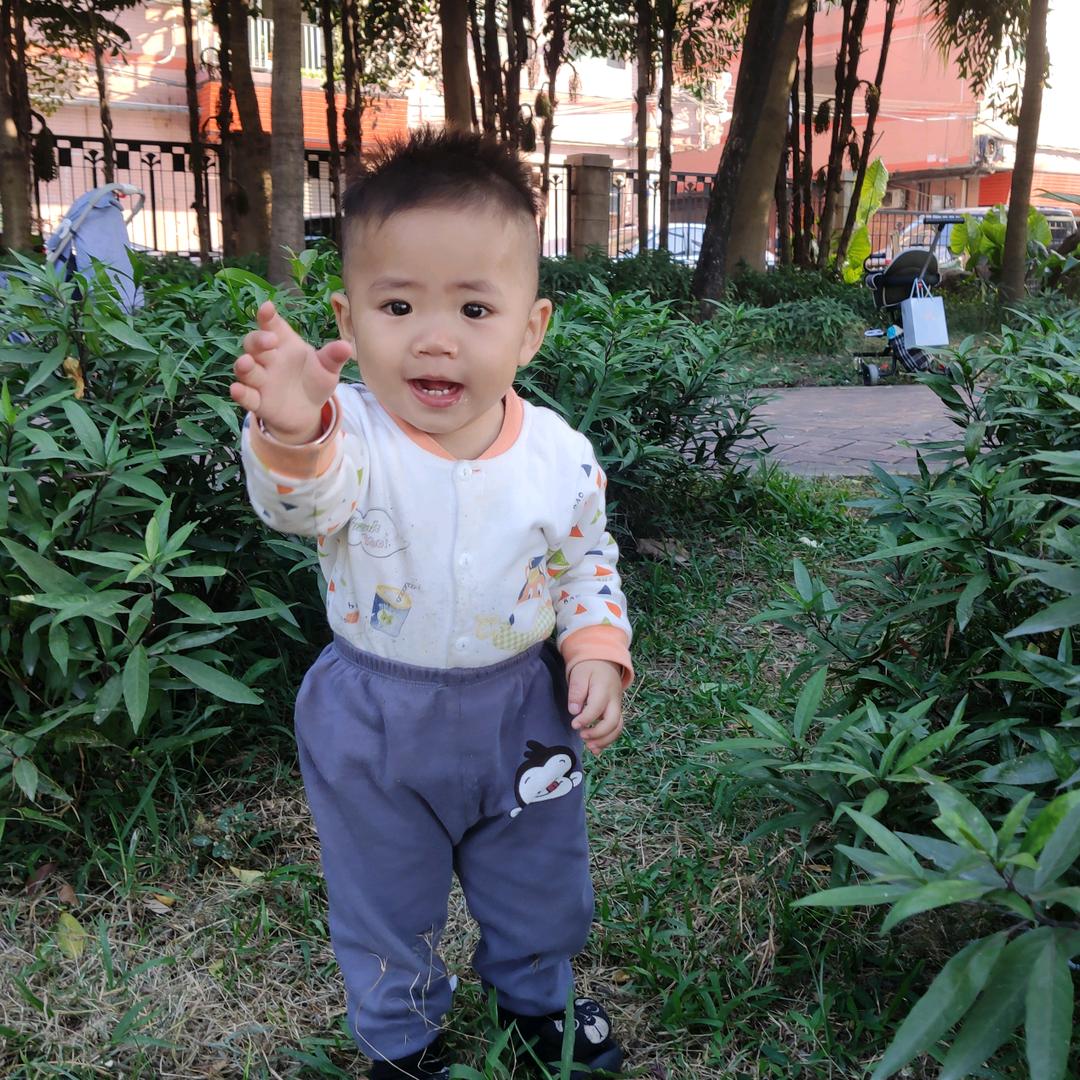艳丽