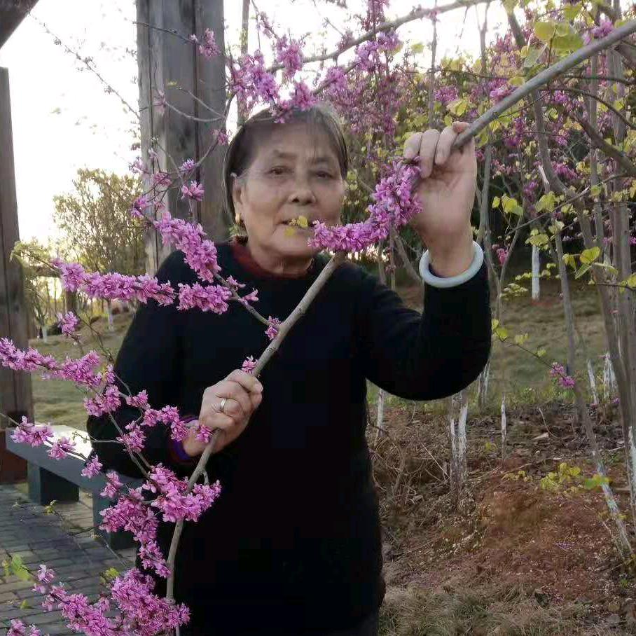 欧阳大姐