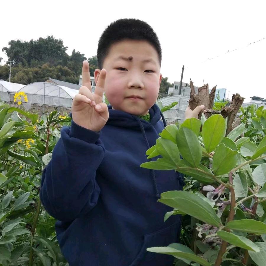 兰
