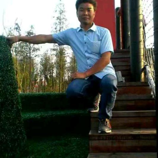 单身日子谁了解