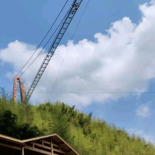 @望却天涯头像