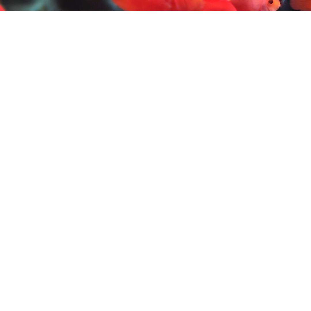 兜兜