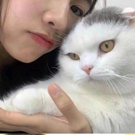 年年即漫漫