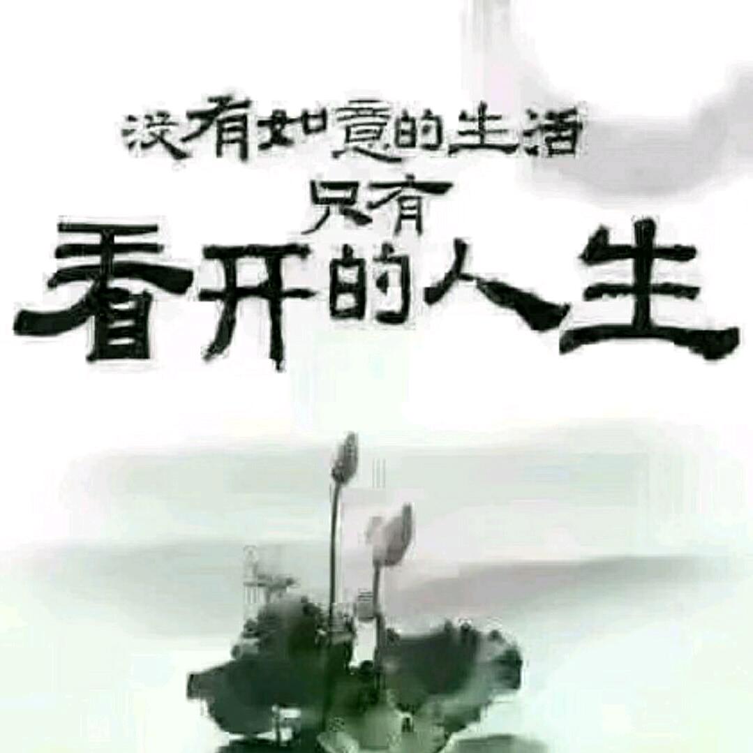 《浪中海鸥》