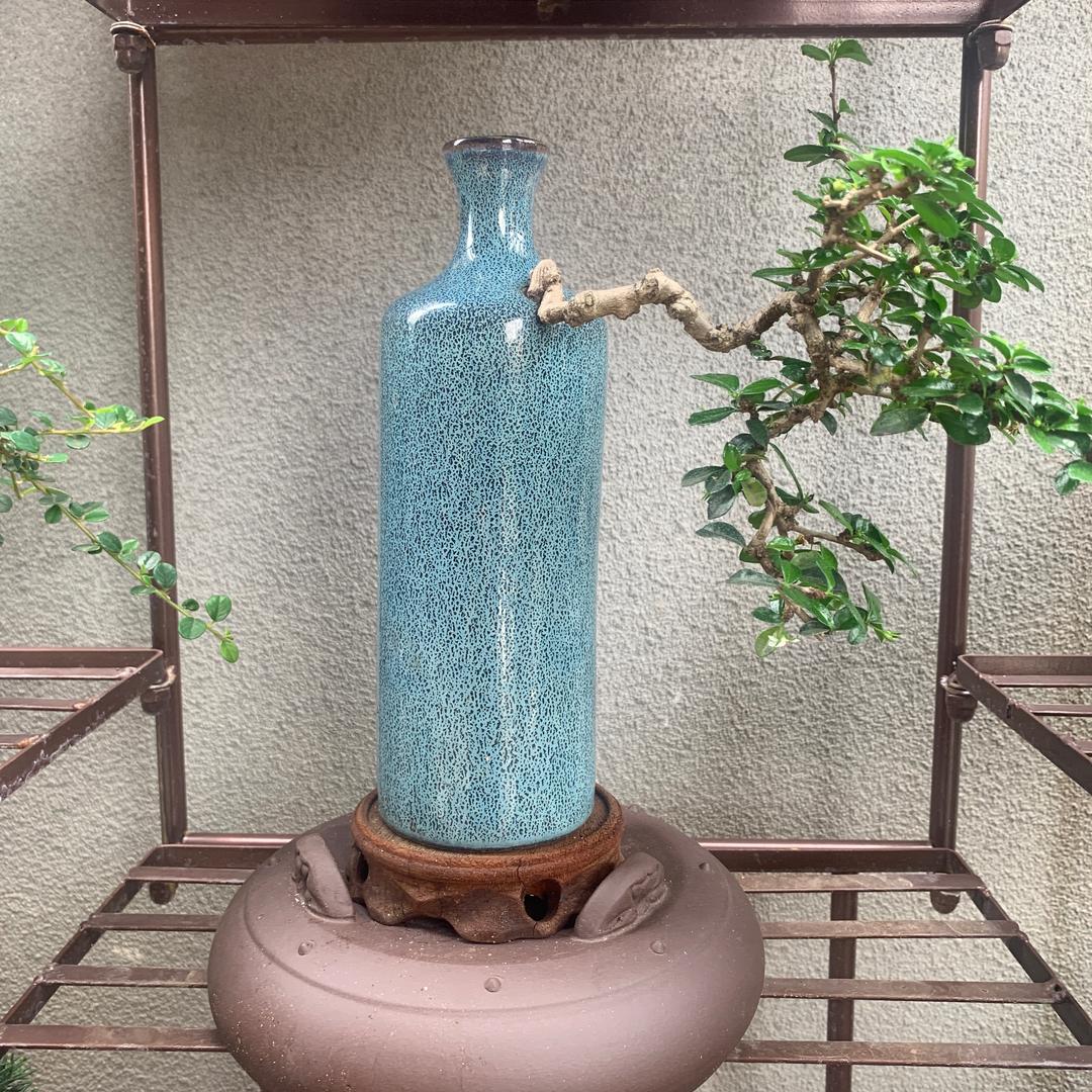 寻一【桩园】