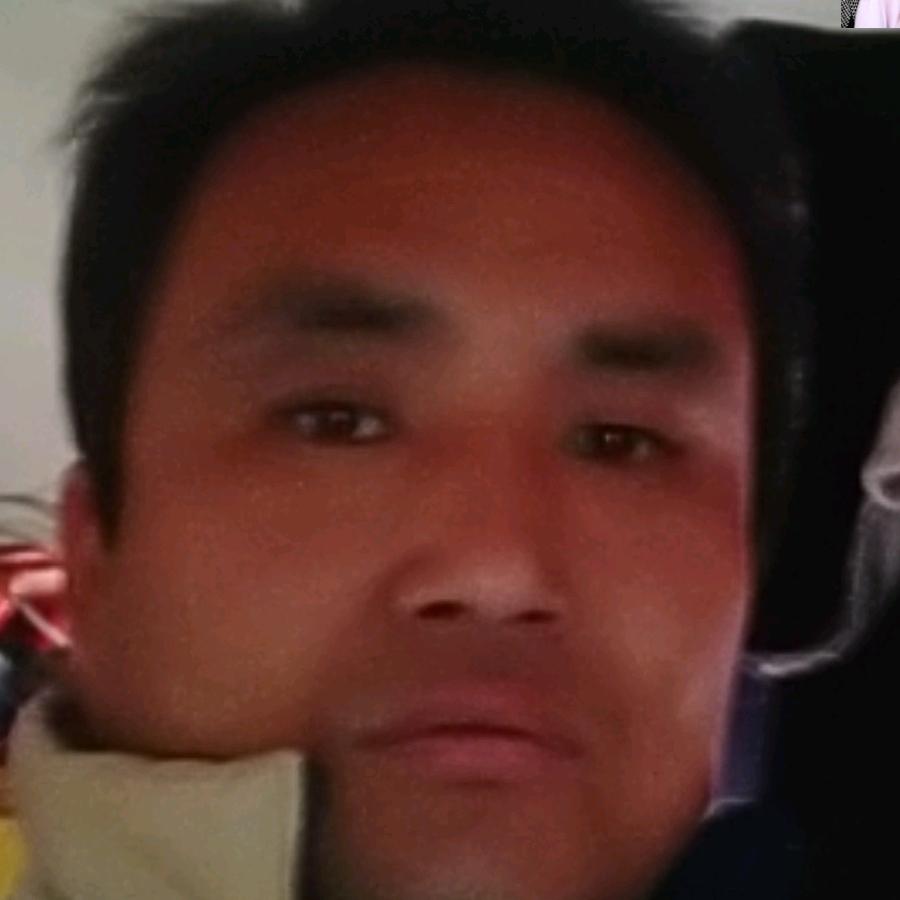 皇上驾到护驾护驾2662