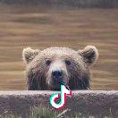 肉球天天哈利乐