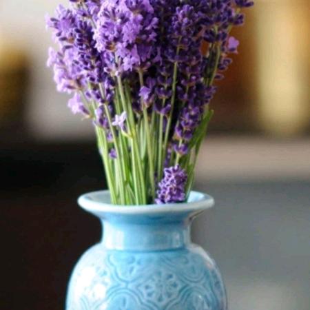 光芒万张☀☀☀