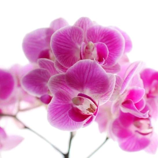 ༄༊࿆这就是生活ོྂཾ࿆࿐