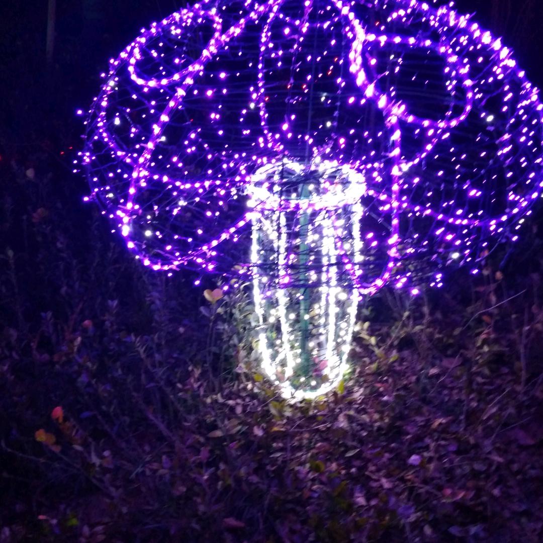 棉花