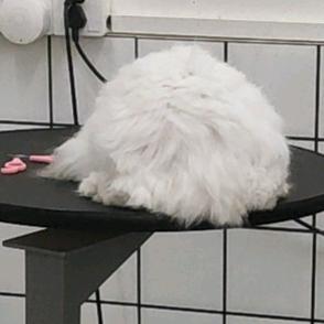 齁咸小鱼干