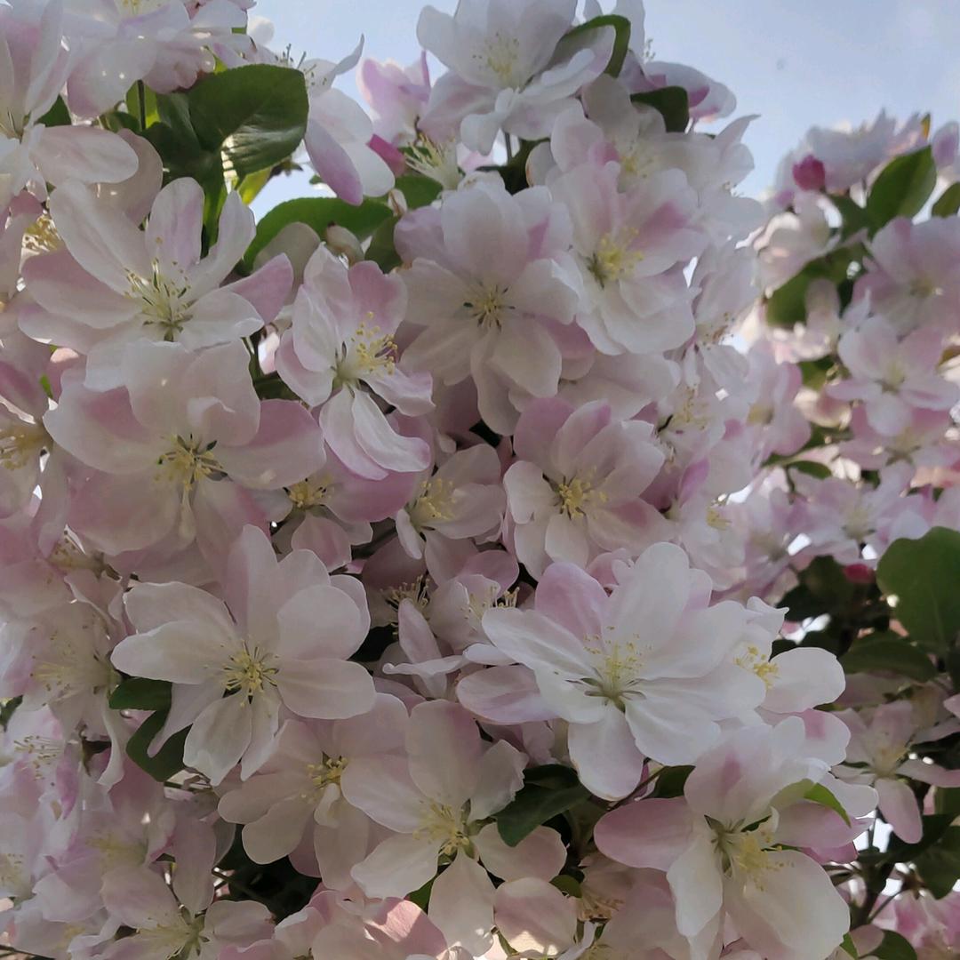 风调雨顺🎉顺其自然