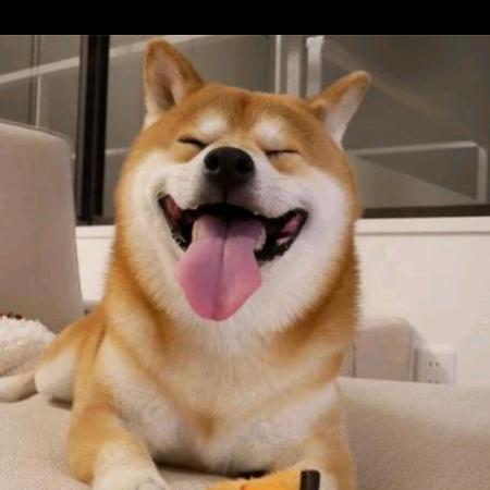 宠宠宠 宠物用品批发