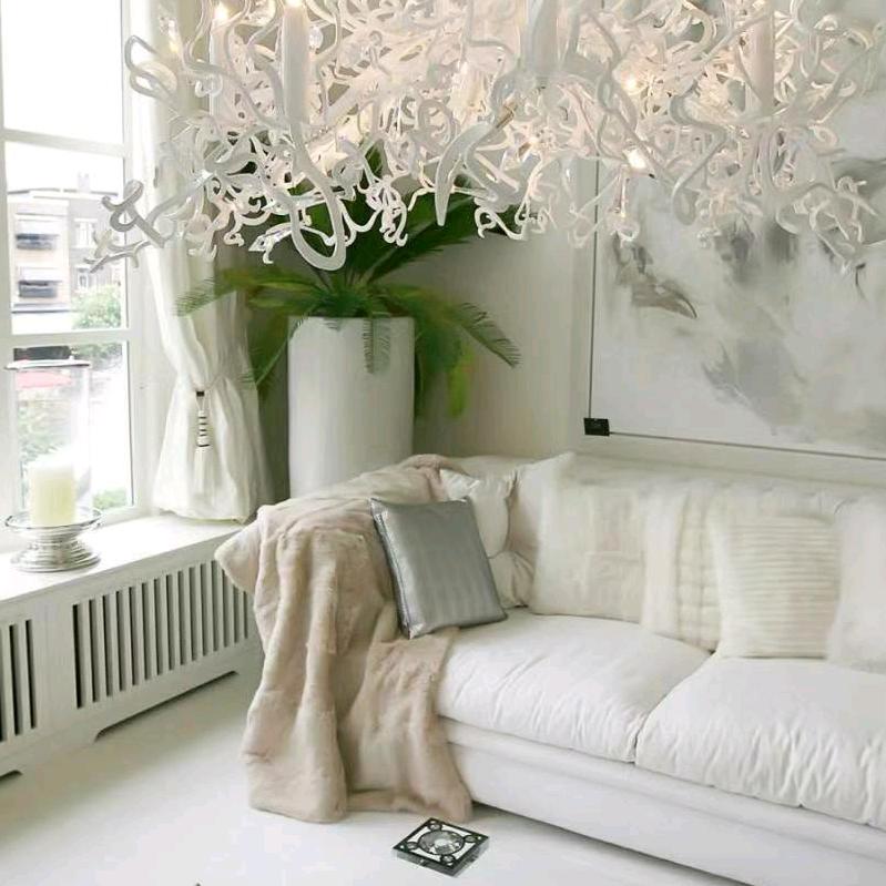 柠檬不懂薄荷心