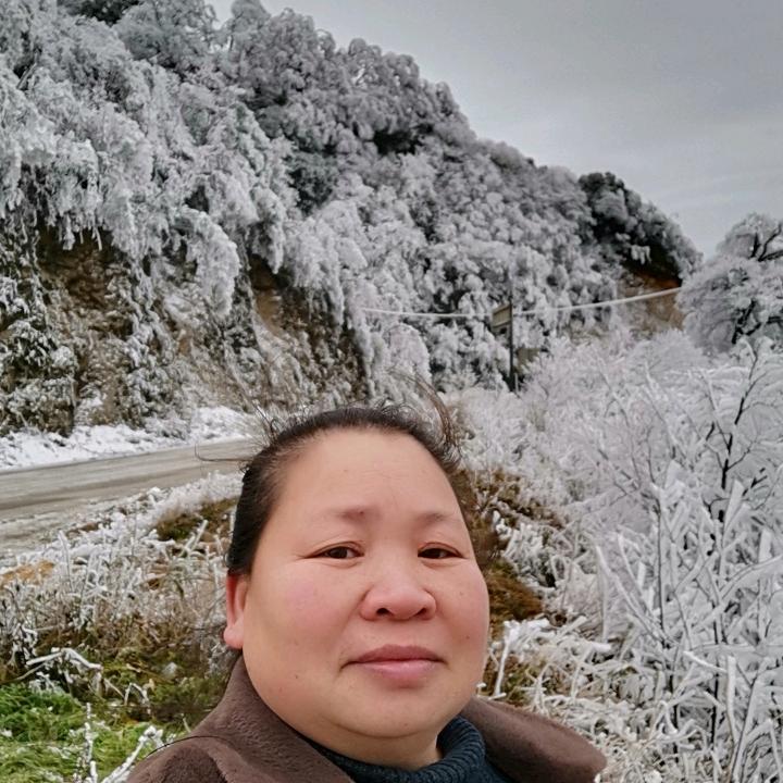 老扁